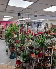 Decors Arts Fleurs image 3