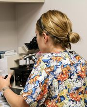 AniMed Animal Hospital image 12