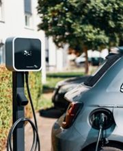 EnergieFüchse Bild 4