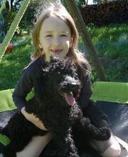 Pension De La Rosée Du Soleil image 18