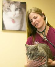 Alpine Animal Hospital image 2