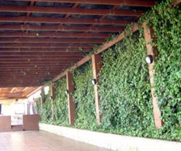 restaurantes-jardin-05-g.jpg