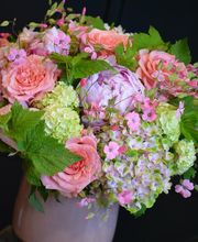 Marie Paolini image 4