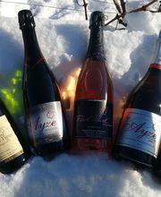 Domaine Montessuit Famille image 3