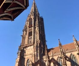 Freiburg-Guide Bild 2
