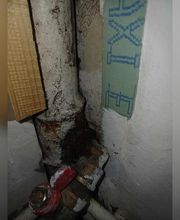 EI Geloen David image 7