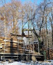 Trans Bois Energy 39 SARL image 11