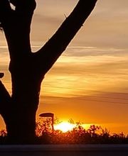 Bed and Breakfast Casa Oliva 52 imagen 4