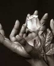 Maria Torregrosa Psychologue et Hypnose image 2