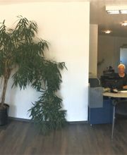 Ursula Blasinski, Makler Marl.JPG