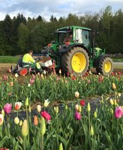 Agroservice Huber AG Bild 10