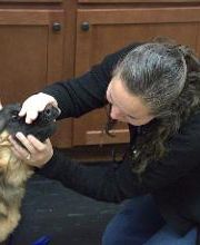 Westside Family Pet Clinic image 17