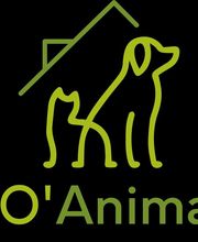 Mon Chien Mon Ami Sarl image 10