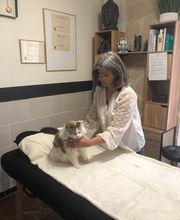 magnetiseurpoitiers.fr image 6