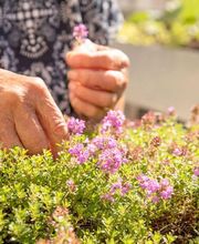 Altersheim St. Martin Bild 6