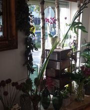 Julias-Blumenwelt Bild 5