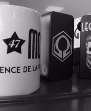 Legmod 47 Pineuilh image 9