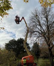 MONSIEUR DELOUIS CHRISTOPHE image 4