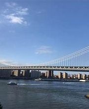 DUMBO House image 12