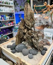 Aquasalvaje imagen 4