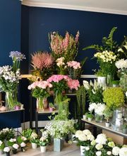 Marie Paolini image 7