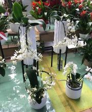 VillaVerde Pia - Perpignan image 20