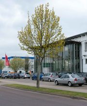 HTI DINGER & HORTMANN Bild 4