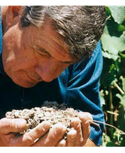 Störrlein Krenig Bild 5