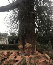 Bois Energie Limousin B.E.L. SARL image 2