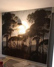 Peinture Tppr image 7