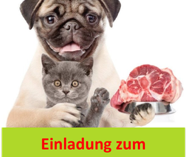 Mein Pfotenglück - Gesundes ANIfit Hundefutter & Katzenfutter Bild 4