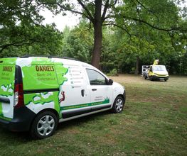 Daniels Baum- & Gartenservice Bild 1