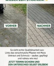 GreenWithPassionGroup UG (haftungsbeschränkt) Bild 10