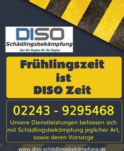 DISO Schädlingsbekämpfung Bild 10