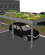 Naturdachwelten-GmbH-Carport-Biodiversität.png