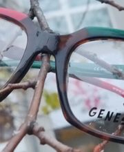 Baumgarten Optik Bild 2