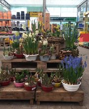 Pirig Gartencenter Bild 10