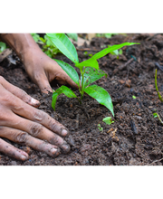 Gärtner Stolz GmbH Bild 2