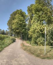 FriedWald Starzach Bild 8