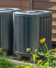 My Honey Can Do, Inc image 5