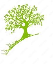 Jardins des camisards image 3