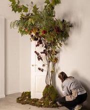 Vignolo Floral Studio | Floristería Chamartín imagen 14