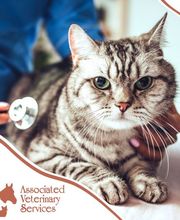 Associated Veterinary Services image 15