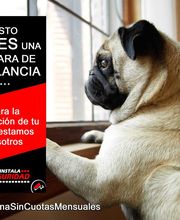 InstalaSeguridad imagen 9