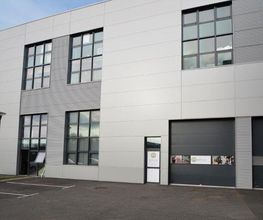 Altica image 3