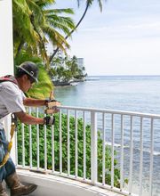 Seal Masters of Hawaii image 8