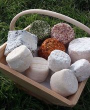 Millet Julia image 8