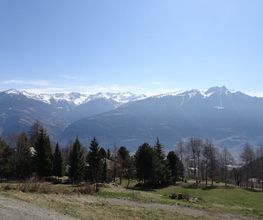 Dubuis Immobilier Bild 5