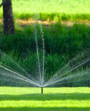 Atmosphère Jardin Sàrl Bild 8