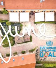 Project JUNE Bild 14